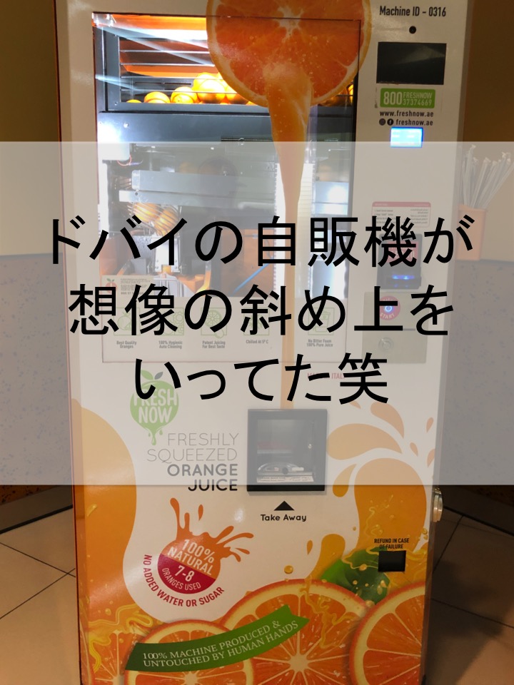 f:id:shota0708:20190329231809j:plain