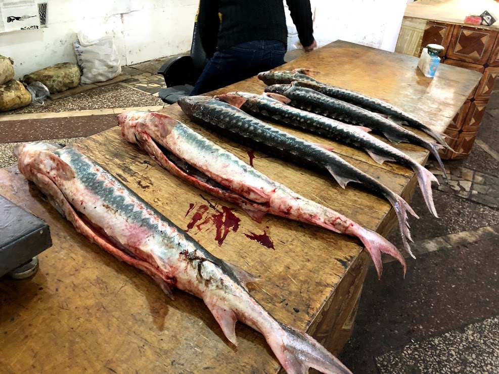 f:id:shota0708:20190518233936j:plain