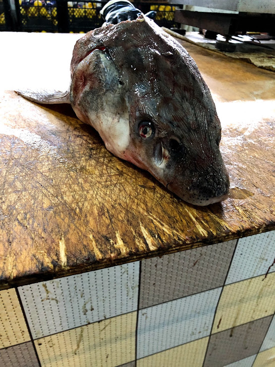 f:id:shota0708:20190518234023j:plain