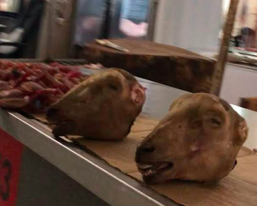 f:id:shota0708:20190519000222p:plain