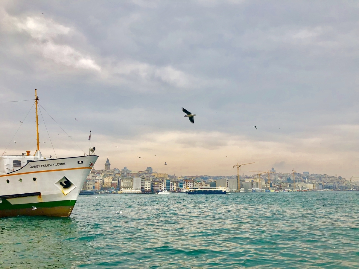 f:id:shota0708:20190630204051j:plain