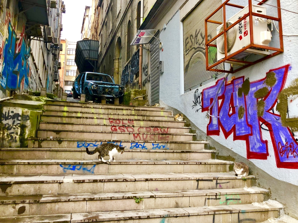 f:id:shota0708:20190630204208j:plain