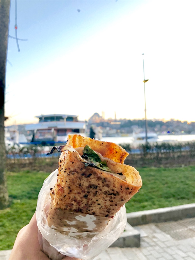 f:id:shota0708:20200503221157j:image