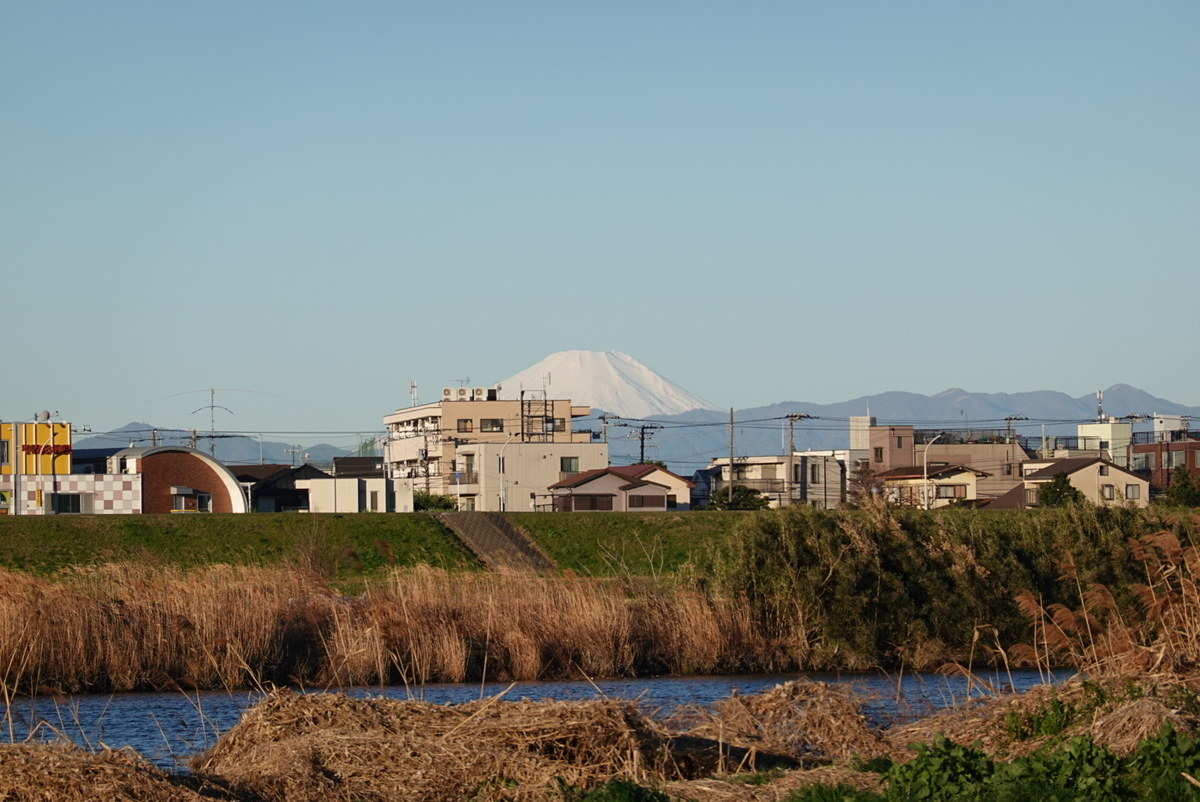 f:id:shota190222:20210303205340j:plain