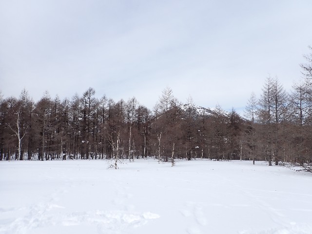 f:id:shota190222:20220310212351j:image