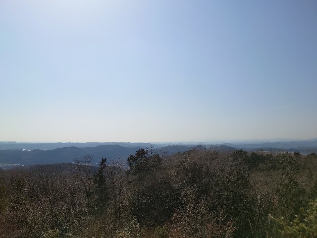 f:id:shota190222:20220317200401j:image