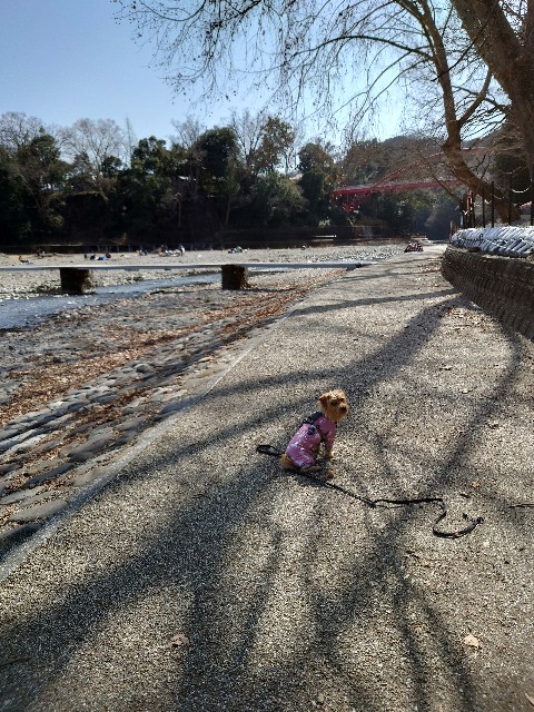 f:id:shota190222:20220317200541j:image