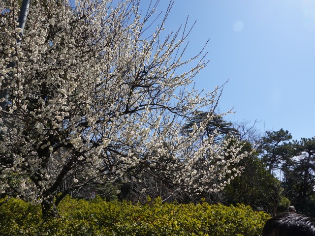 f:id:shota190222:20220324165149j:image