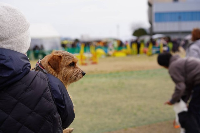 f:id:shota190222:20230307174440j:image