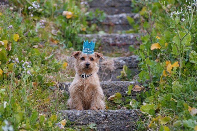 f:id:shota190222:20230307174614j:image