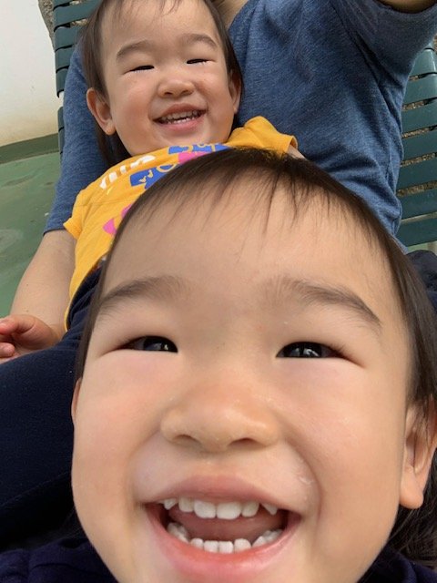 f:id:shotake:20200406124538j:plain