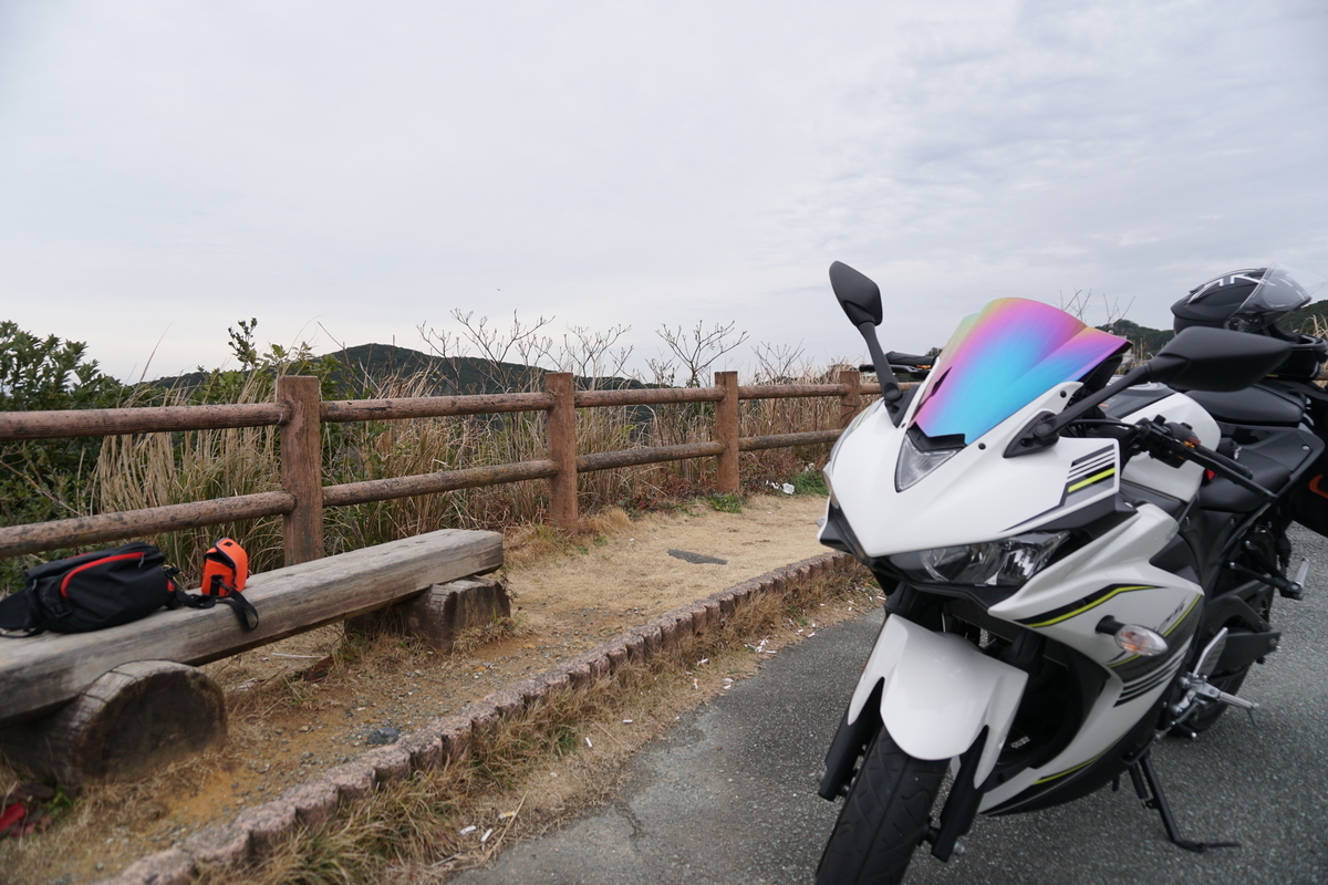 f:id:shotaro0120:20200403224229j:plain