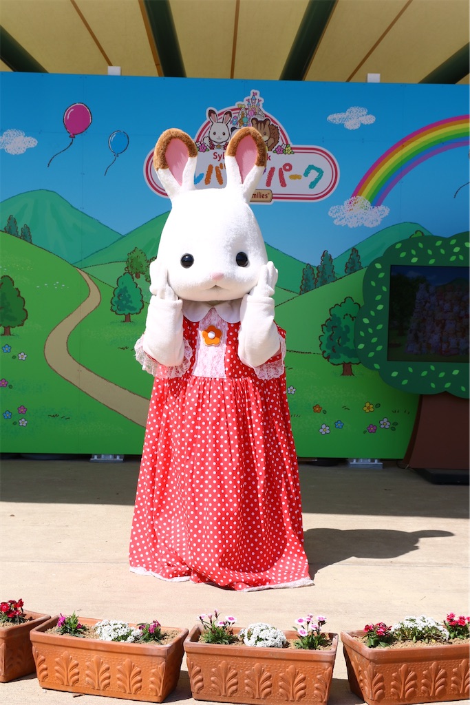 f:id:shotataa:20200320214219j:image