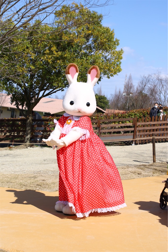 f:id:shotataa:20200320214339j:image