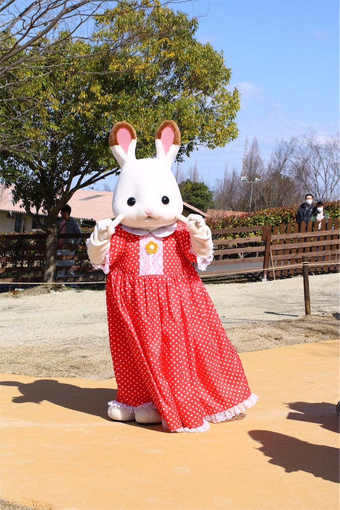 f:id:shotataa:20200320214419j:image