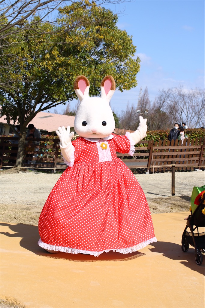 f:id:shotataa:20200320214442j:image