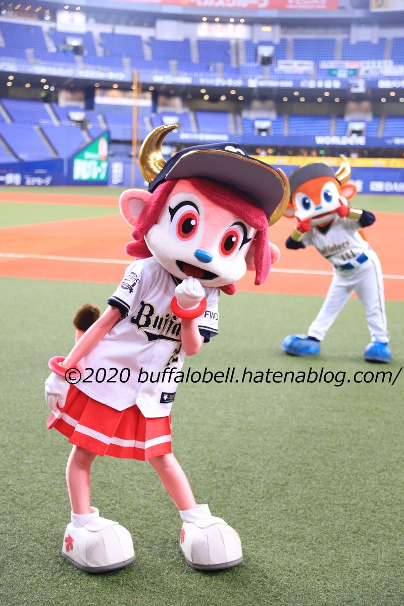 f:id:shotataa:20201121221215j:plain