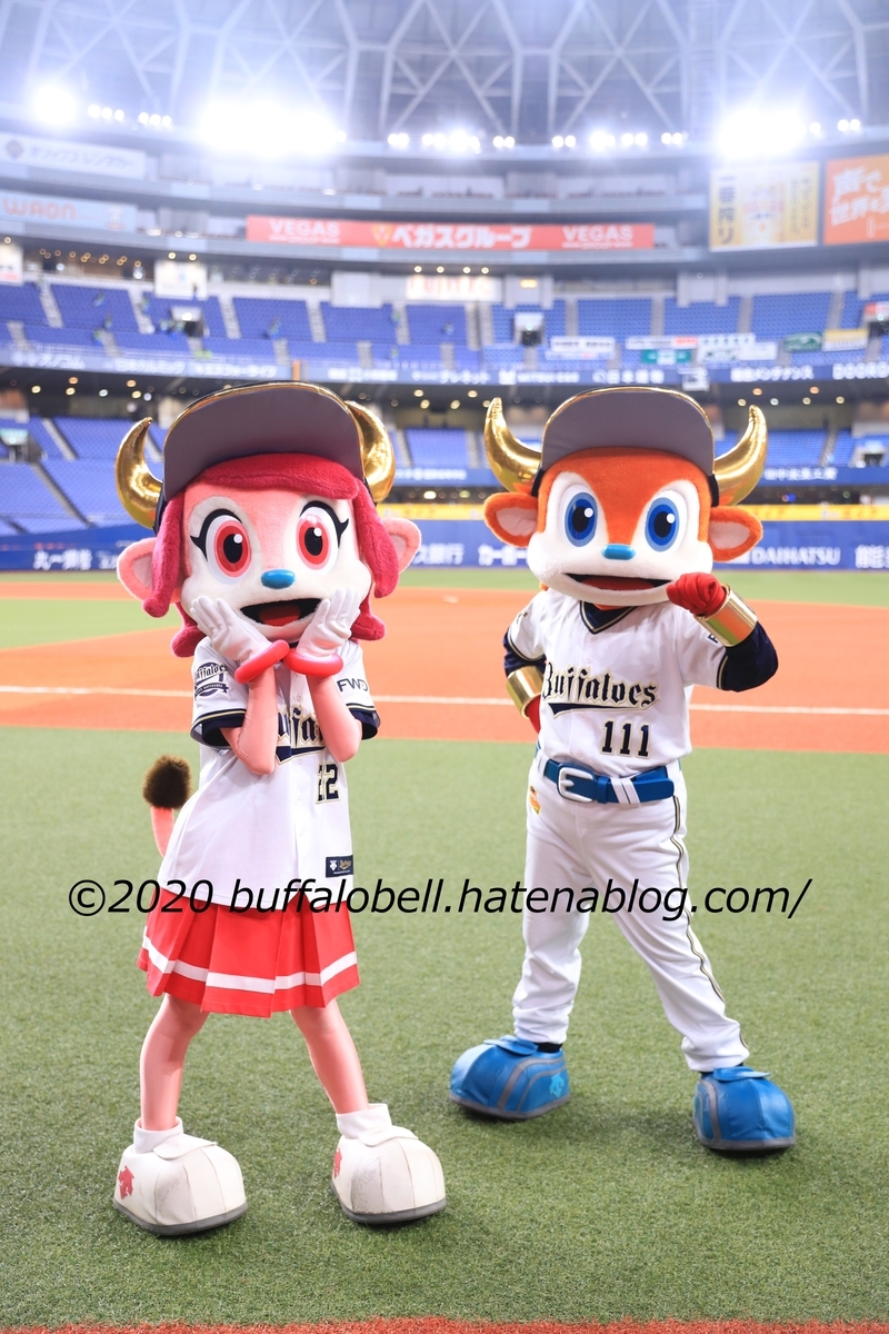 f:id:shotataa:20201121221409j:plain