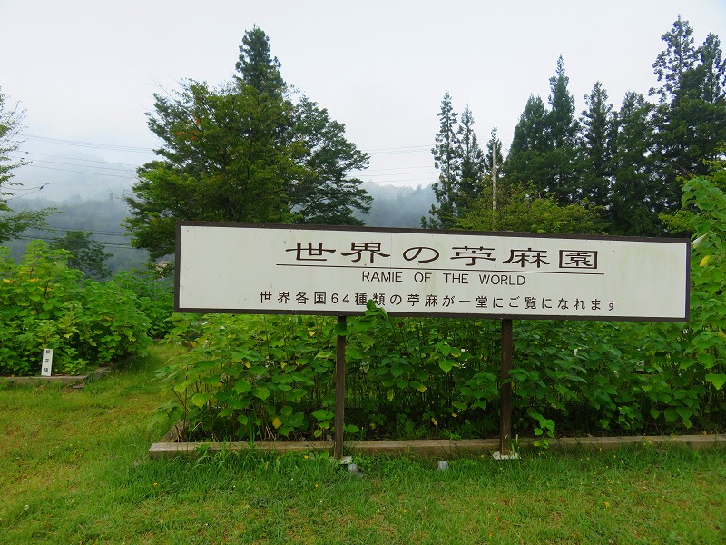 f:id:shou1710:20190929120708j:plain
