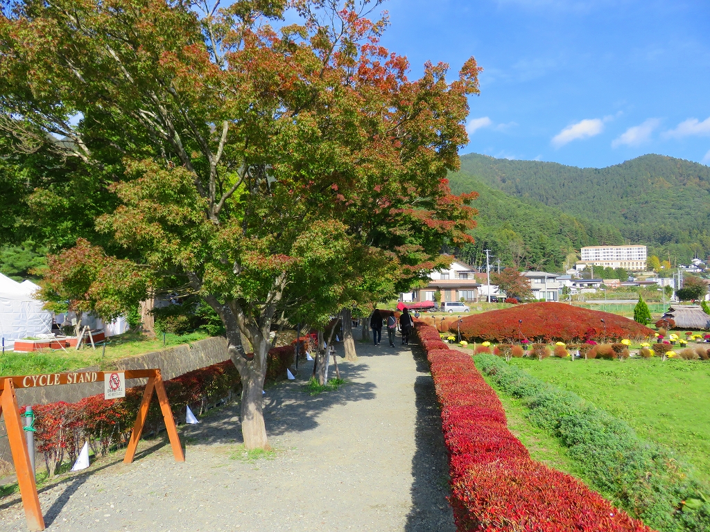 f:id:shou1710:20191119182350j:plain f:id:shou1710:20191119182350j:plain