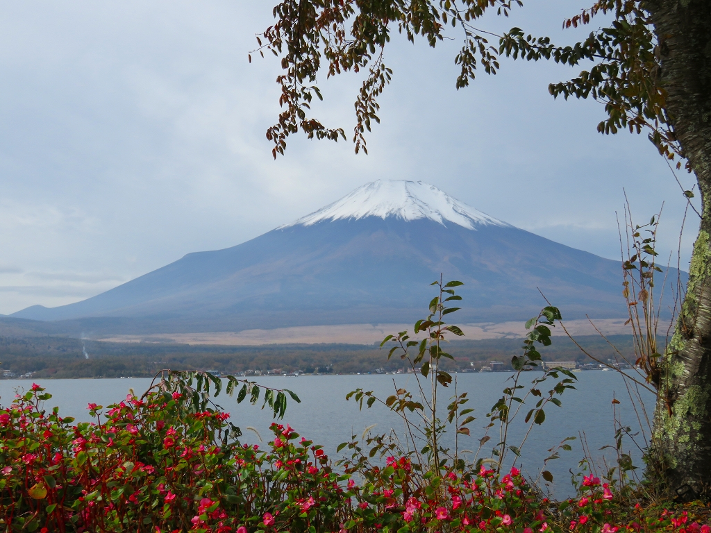 f:id:shou1710:20191202183212j:plain f:id:shou1710:20191202183212j:plain