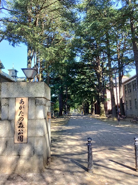 f:id:shouga4:20210921215052j:image f:id:shouga4:20210921215052j:image