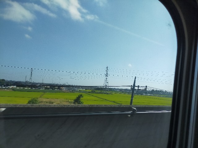 f:id:shouga4:20210929085023j:image f:id:shouga4:20210929085023j:image