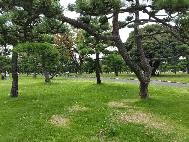 f:id:shouga4:20210930103206j:image f:id:shouga4:20210930103206j:image