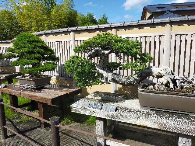 f:id:shouga4:20210930103712j:image f:id:shouga4:20210930103712j:image