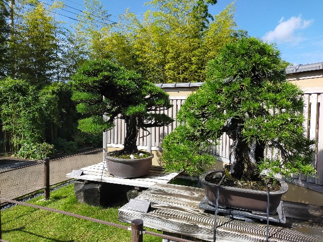 f:id:shouga4:20210930103724j:image f:id:shouga4:20210930103724j:image
