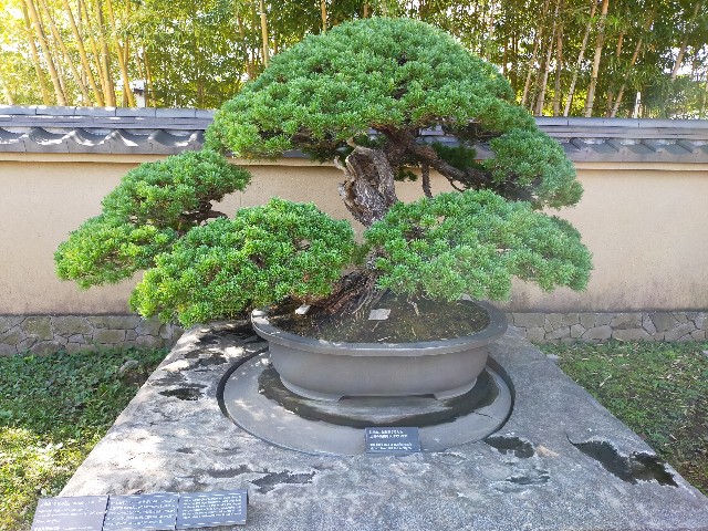 f:id:shouga4:20210930103814j:image f:id:shouga4:20210930103814j:image