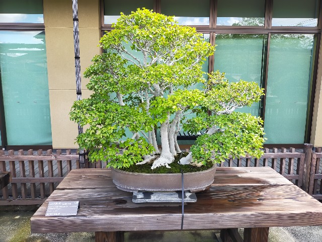 f:id:shouga4:20210930124015j:image f:id:shouga4:20210930124015j:image