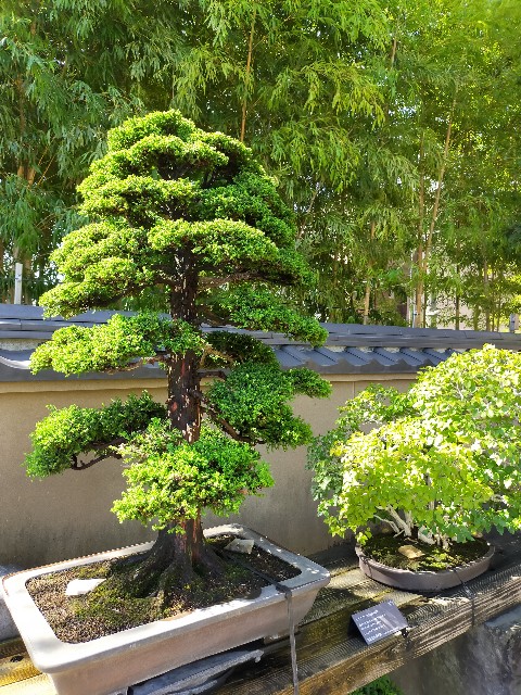 f:id:shouga4:20210930124205j:image f:id:shouga4:20210930124205j:image