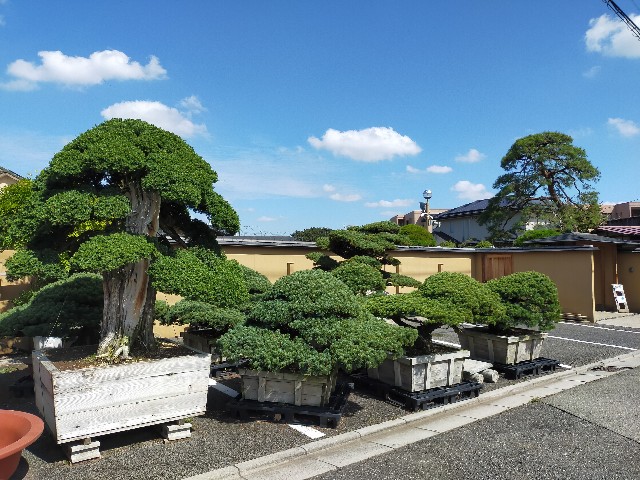 f:id:shouga4:20210930124901j:image f:id:shouga4:20210930124901j:image