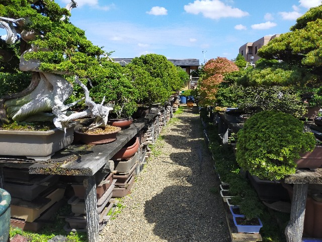 f:id:shouga4:20210930125030j:image f:id:shouga4:20210930125030j:image