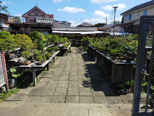 f:id:shouga4:20210930125338j:image f:id:shouga4:20210930125338j:image