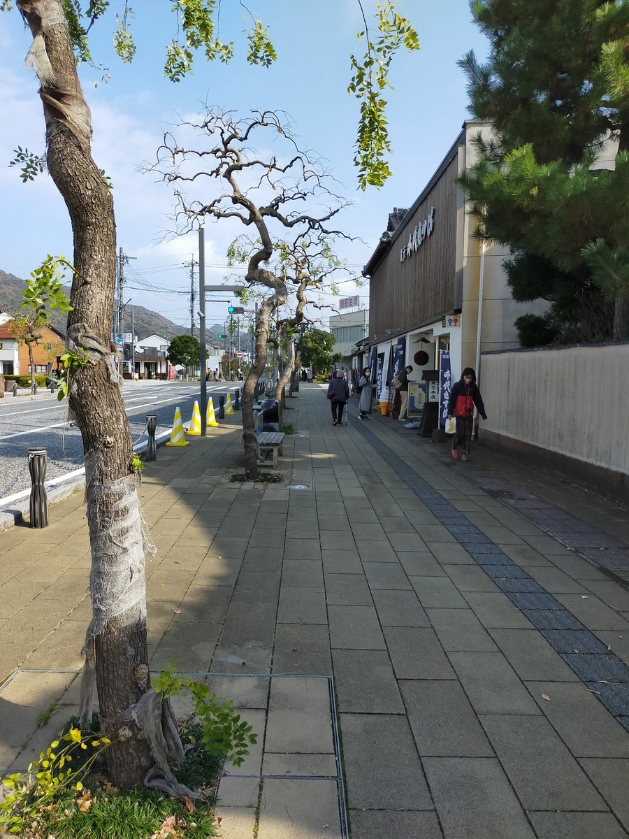 f:id:shouga4:20211122100519j:plain