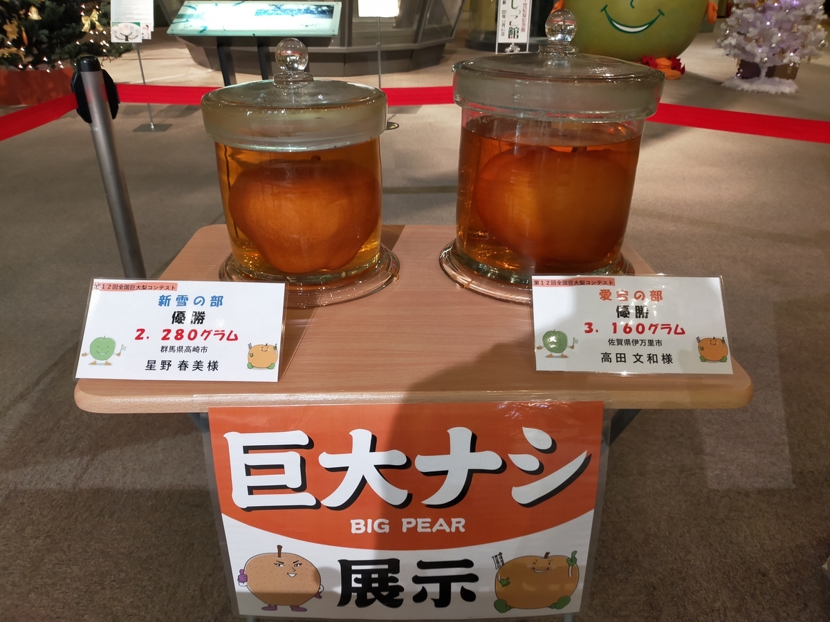 f:id:shouga4:20211123070343j:plain