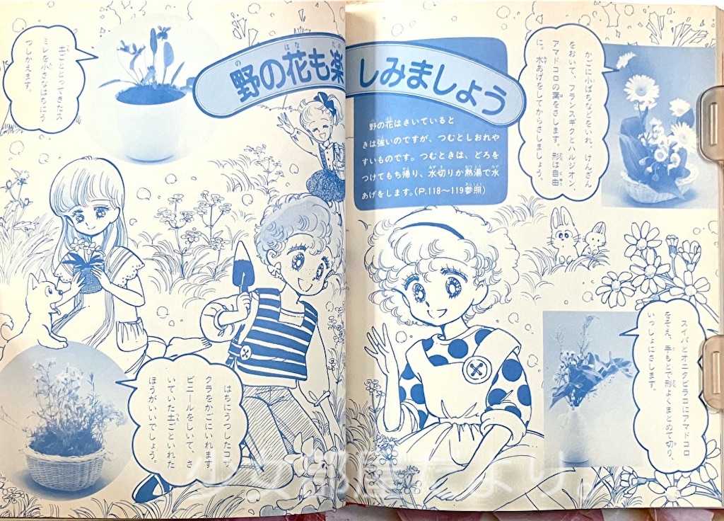 f:id:shoujobeya:20260604212547j:image