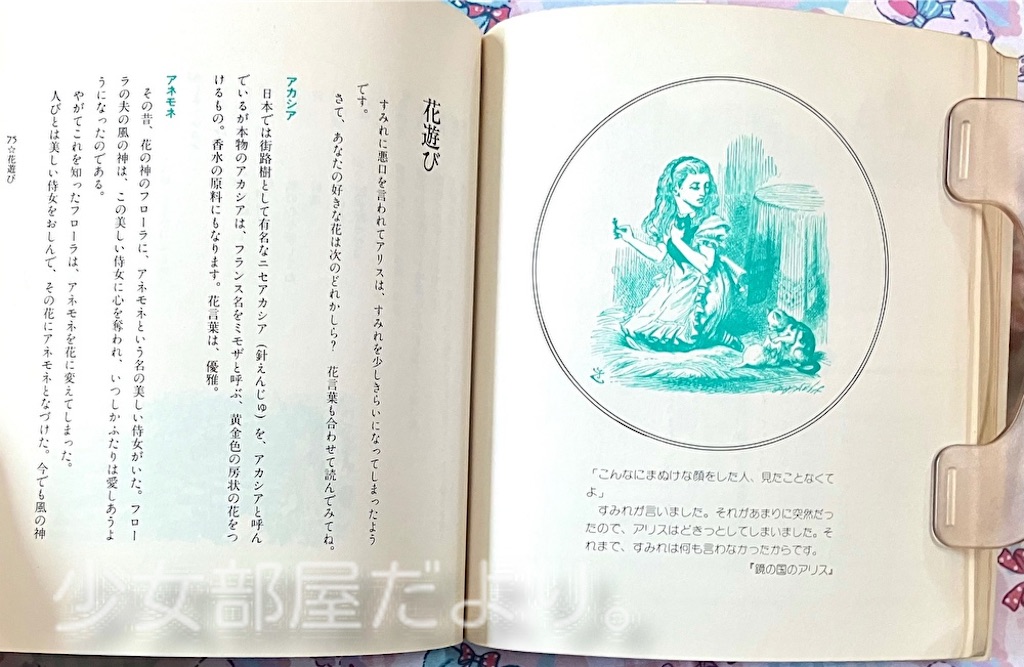 f:id:shoujobeya:20260702210331j:image