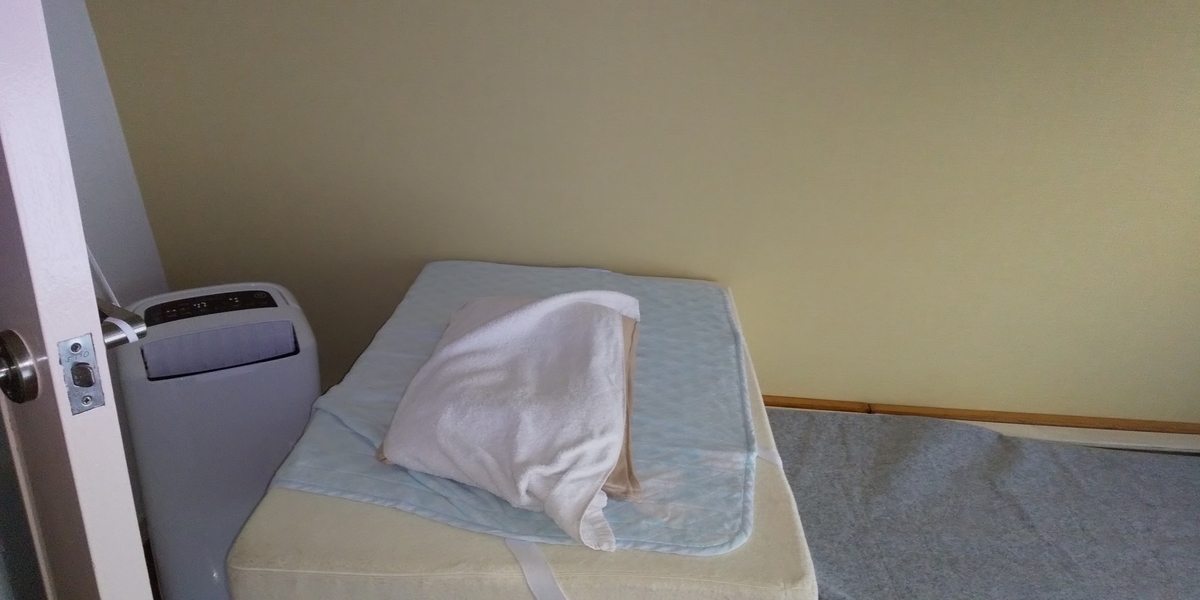 f:id:shouko2019:20200613152411j:plain f:id:shouko2019:20200613152411j:plain