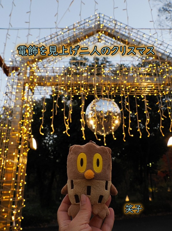 森林公園を楽しむNo62 瓢箪（ひょうたん）アート - 笑子のフォト俳句