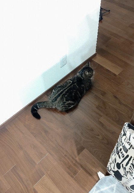 f:id:shounmama:20201012131423j:image