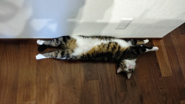 f:id:shounmama:20201013132405j:image