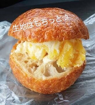 f:id:shounmama:20201014121622j:image