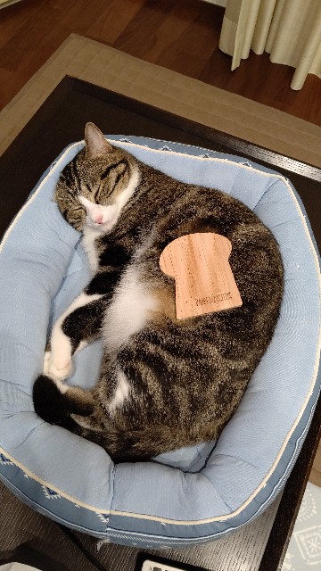 f:id:shounmama:20201014122116j:image