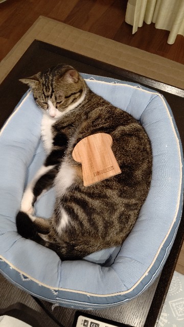 f:id:shounmama:20201014122533j:image