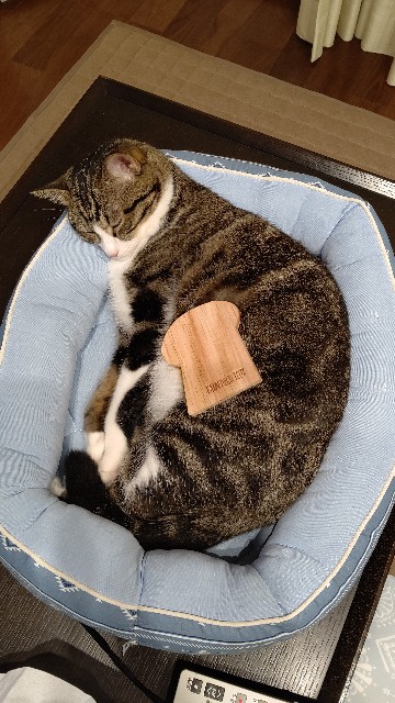 f:id:shounmama:20201014122719j:image