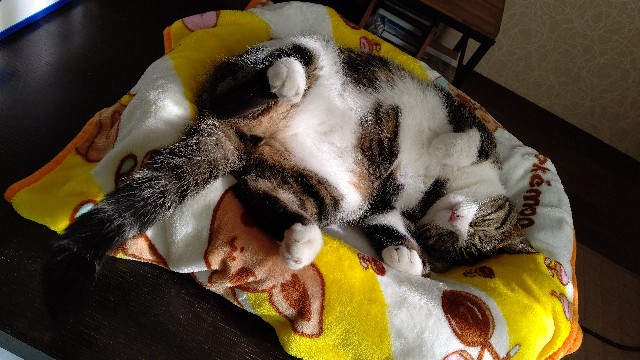 f:id:shounmama:20201016182614j:image