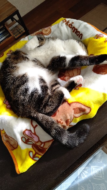 f:id:shounmama:20201020132046j:image